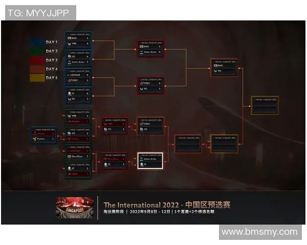 DOTA2专题深入分析IG战队的团队协作与战术配合之道