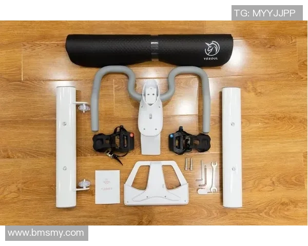 南京极限运动队的防守策略揭秘与深度分析探讨