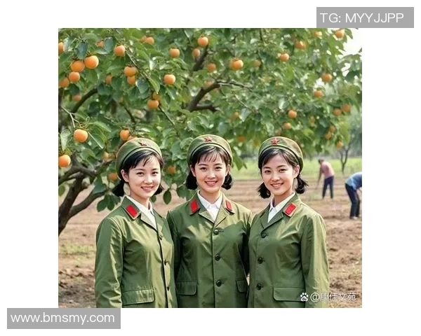 对话赵静：回顾乒乓球生涯的辉煌与挑战与未来展望